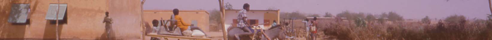 Boys on a donkey cart in a Zarma village in western Niger