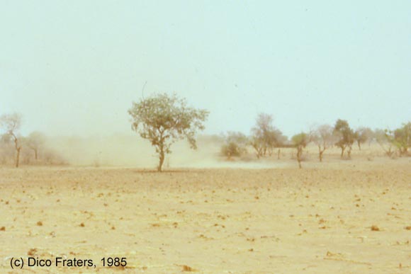 Wind blowing sand from field