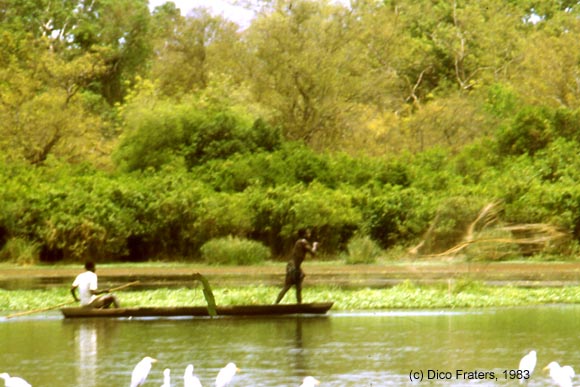 A fishermen is casting out a net into the water / Een visser werpt een net uit in het water.