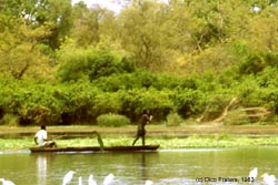 photo of fisherman throughing out his net