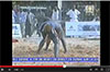 Photo wrestling game Niamey 2013