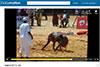 Photo wrestling game Niamey 2013